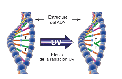 Luz ultravioleta como aliada para la desinfección y la seguridad