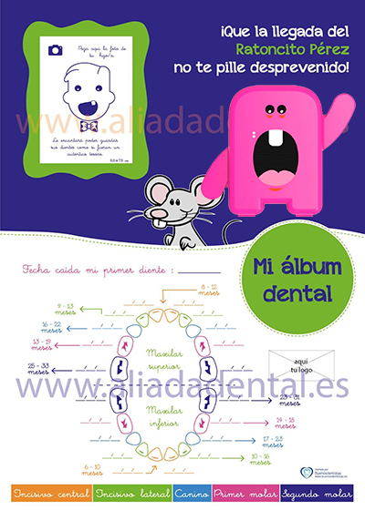 ALBUM DENTAL CON COFRE PORTADIENTES, MAPA DENTAL Y SOPORTE TIPO PEANA