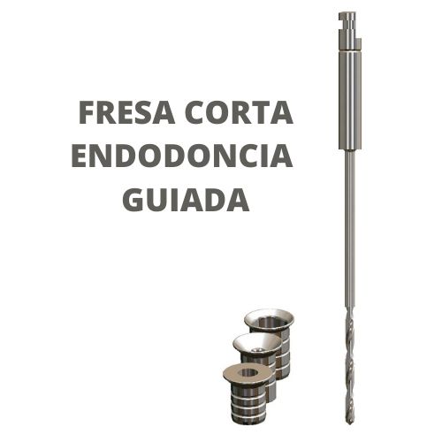 STECO FRESA CORTA PARA ENDODONCIA GUIADA